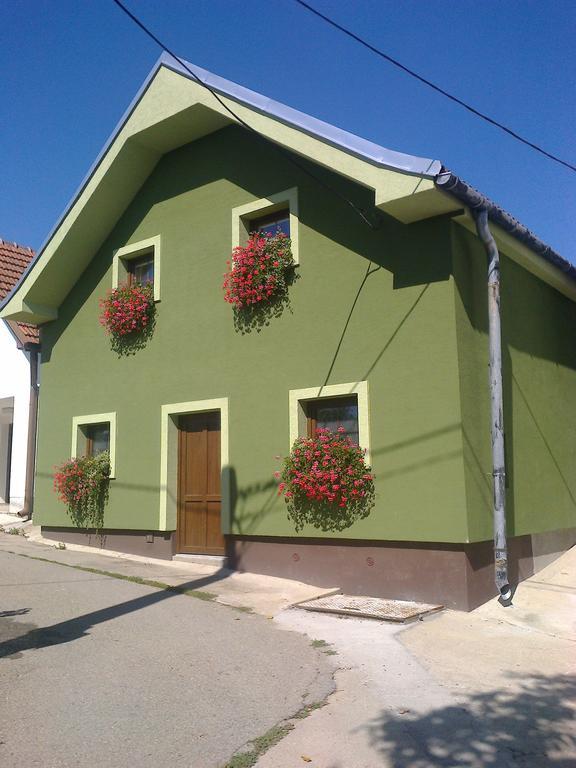 Penzion Andrea Velké Bílovice Esterno foto